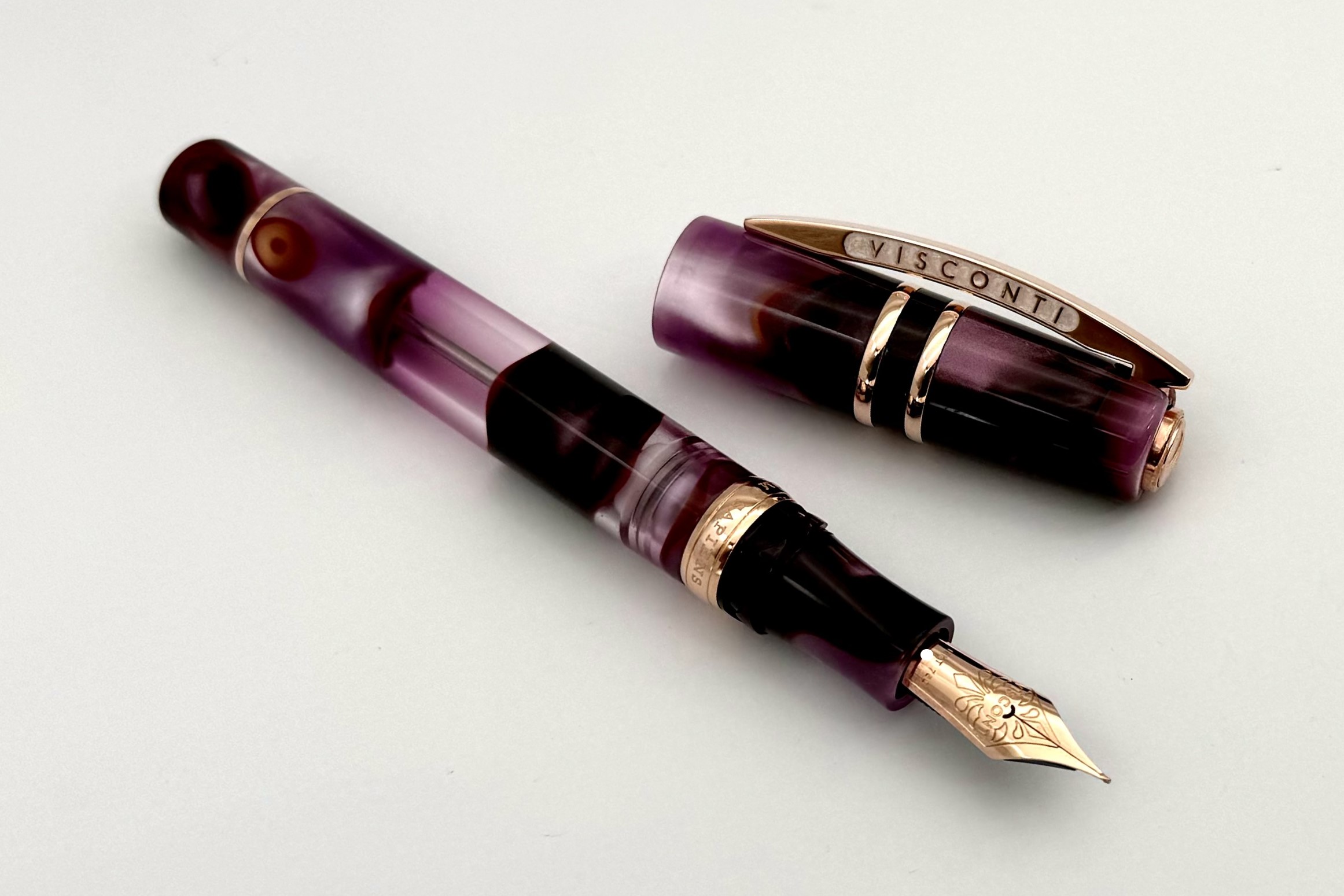 ViscontiLEHomoSapiensIrisGardenFP_A